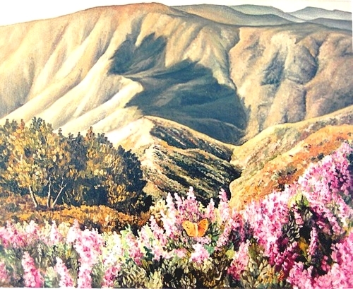 La bruyère des sommets (41x33) 1998