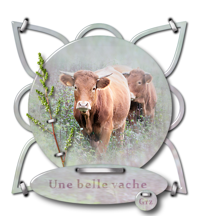 belle vache.png