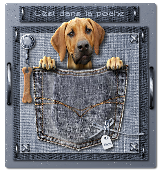 dans la poche2.png