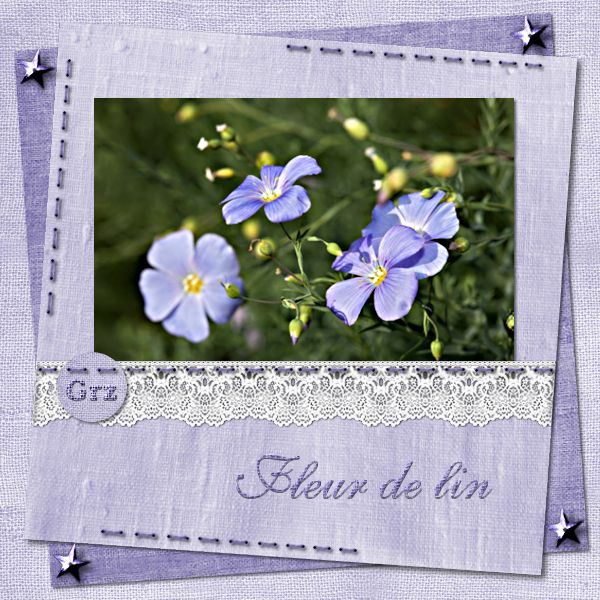 fleur de lin.jpg
