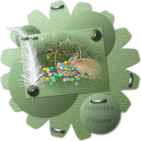 Image3.png