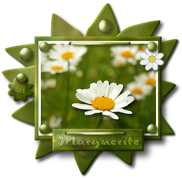marguerite.png