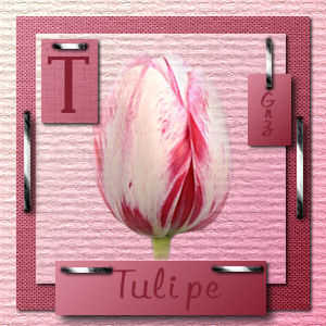 tulipe.jpg