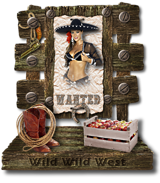 wild wild west.png