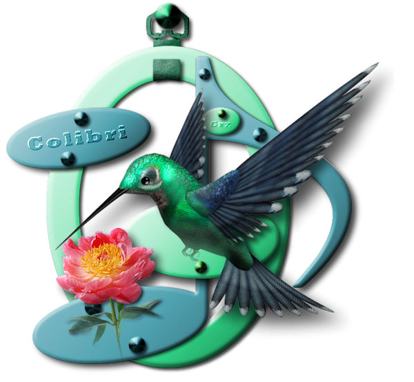 Colibri image 1 septembre.png