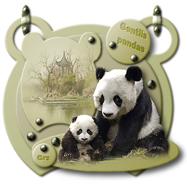 gentils pandas.png
