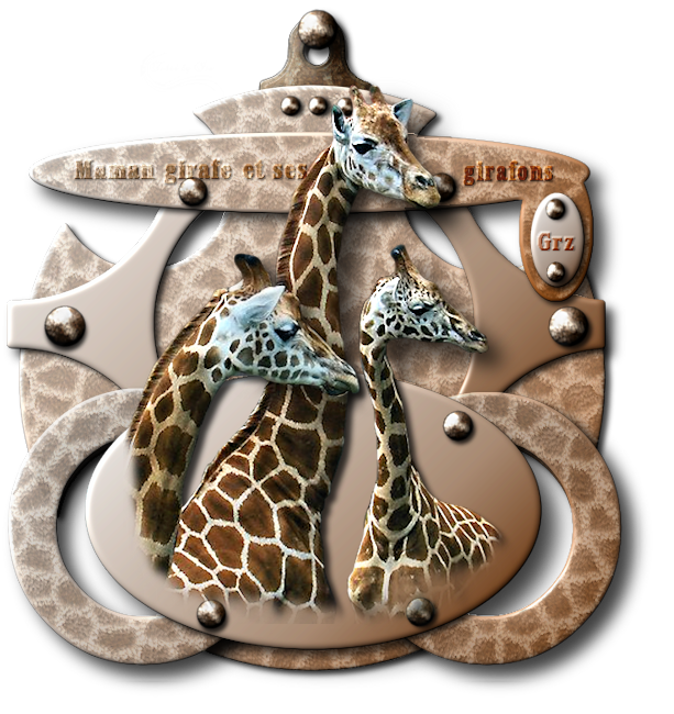 giraffes.png