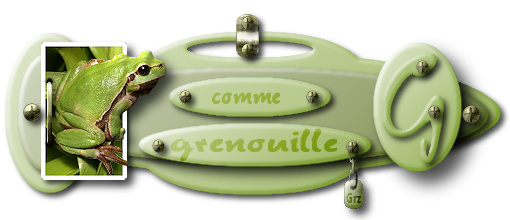 grenouille.png