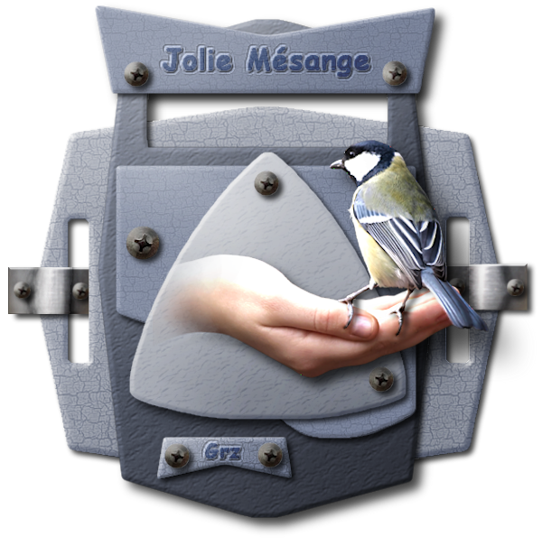 jolie mesange.png