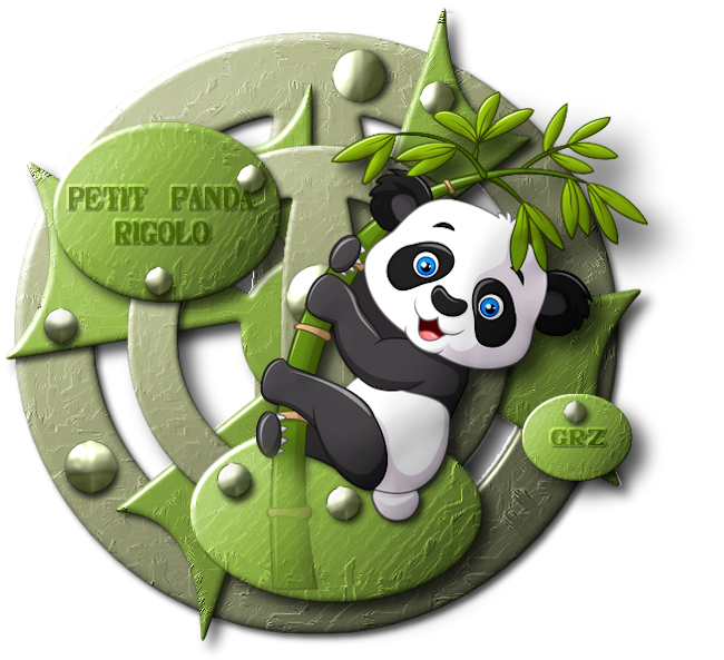 petit panda rigolo.png