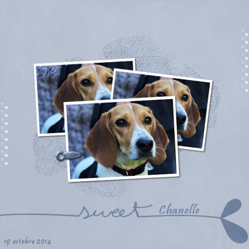 Sweet Chanelle.jpg