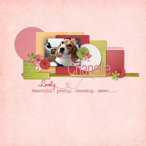 Beautiful chanelle.jpg