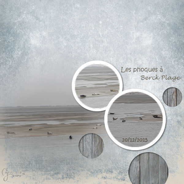inspiration décembre 2015.jpg