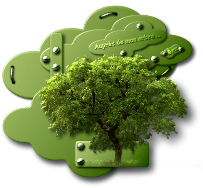 défi juin l'arbre.png