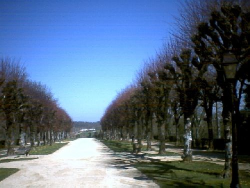 La grande allée des Promenades