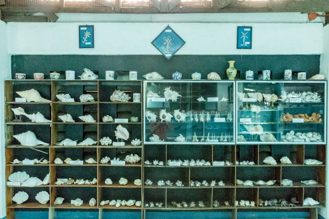 Bohol. Panglao Island, the shells Museum.. March 2016
