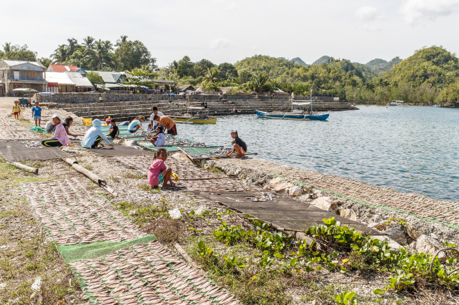Negros Ocidental. Sipalay city, drying the fishes. April 2015