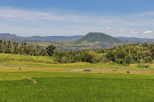 Negros Oriental. Mount Humayan. April 2023