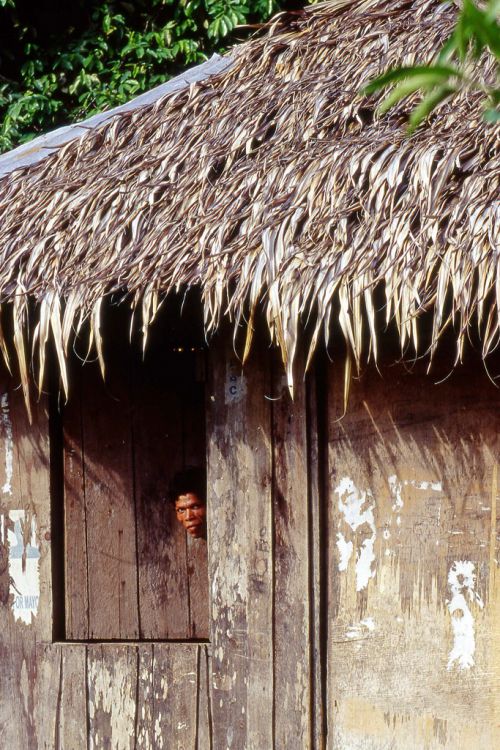 Mindoro. Puerto Galera, shy Mangyan woman. July 2001