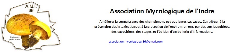 Association Mycologique de l'Indre