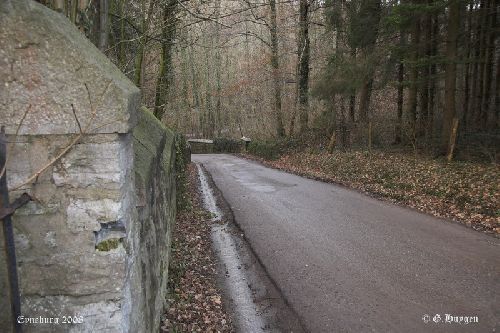 Château médiéval de Eyneburg