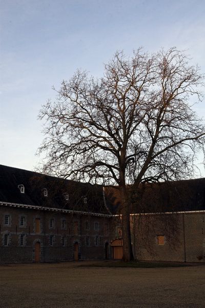 Château de S\'Herenelderen - Limbourg