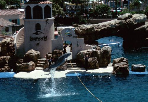 SAN DIEGO; un des plus grands Sea Worlds américains avec des spectacles de dauphins, d'orques , d'otaries...