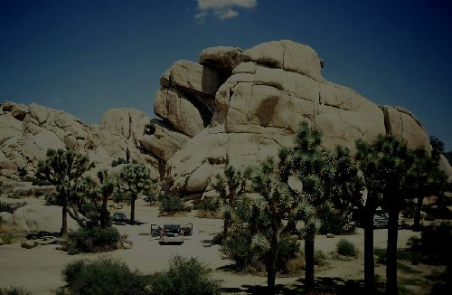 JOSHUA TREE NATIONAL PARK; camping paisible et ...ensoleillé!