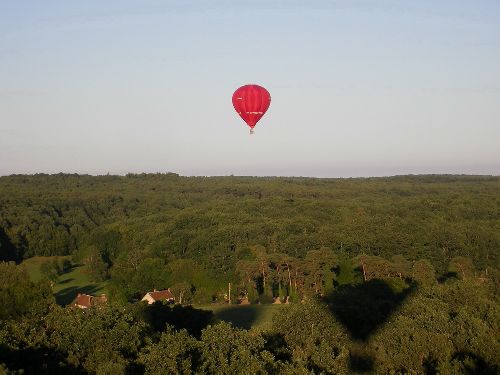 Survol paisible de la forêt de LOCHES