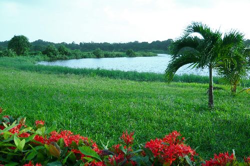 Rives du lac du bois Diable (Kourou) 