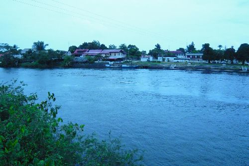 Rives du fleuve Sinnamary