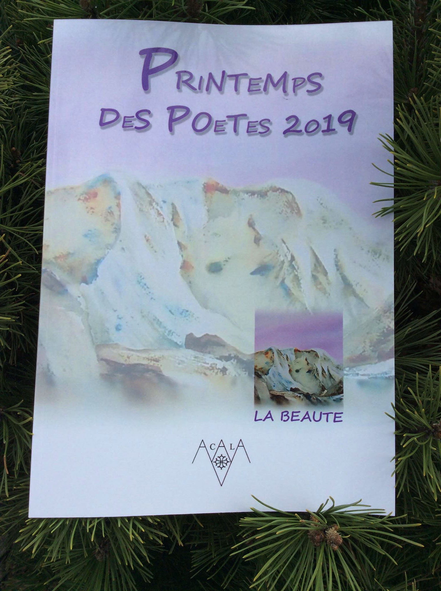 Recueil de poésies du Printemps des poètes 2019 aux éditions Acala (Format  A4).