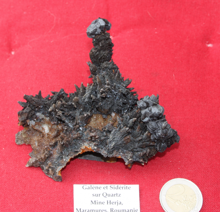 GALENE SUR SIDERITE MINE HERJA MARAMURES ROUMANIE  (3).JPG