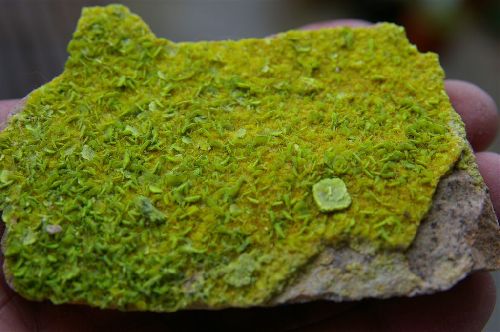 AUTUNITE LES OUDOTS SAONE ET LOIRE  9CM X 5.5  