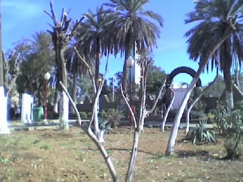 le jardin public (2009)
