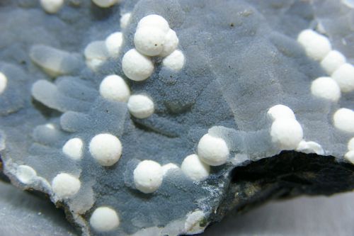 IN 05 - Fluorite sur Calcédoine, Mahodari Nashik Quarry, Nasik, Maharashtra, Inde, 90 mm x 80 mm