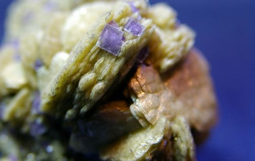 PA 01 - Fluorite sur Sidérite, Mine de Panasqueira, Covilha, Portugal  45 mm x 35 mm