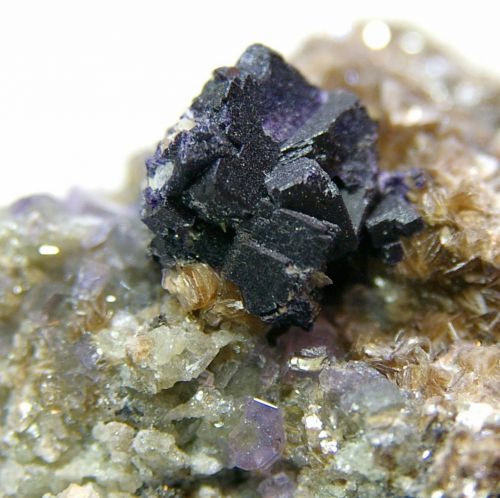 PA 02 - Fluorite, Fluorapatite sur Muscovite, Mine de Panasqueira, Covilha, Portugal  47 mm x 40 mm