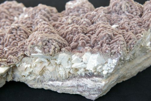 PS 01 - Fluorite sur Barytine, Mine des Porres, Les Arcs, Massif des Maures, Var,   285 mm x 145 mm
