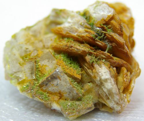 CH 23 - Pyromorphite et Fluorite sur Barytine, Mine du Rossignol, Chaillac, Indre 50 mm  x 40 mm