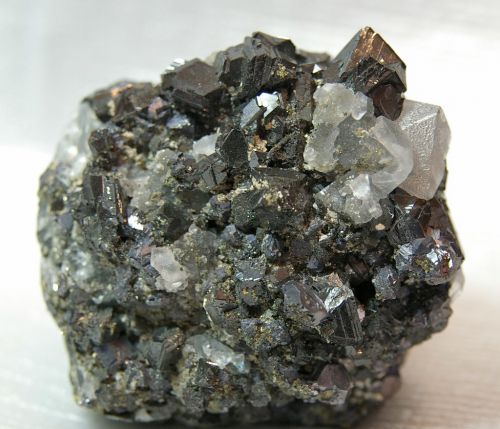 RU 08 - Sphalérite, Galène et Fluorite, , Dalnegorsk, région Vladivostok, Russie  80 mm x 60 mm