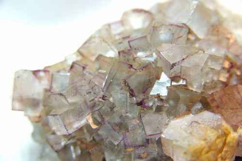 AL 19 - Fluorite, Mine clara, Oberwolfach,  Baden-Wutemberg   75 mm x 50 mm