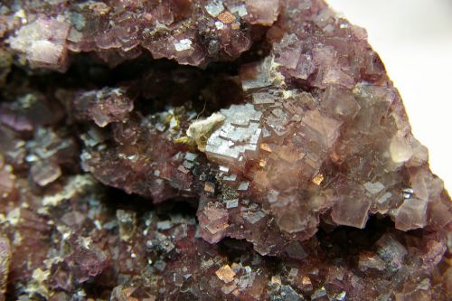 AL 20 - Fluorite, Mine clara, Oberwolfach,  Baden-Wutemberg   105 mm x 100 mm