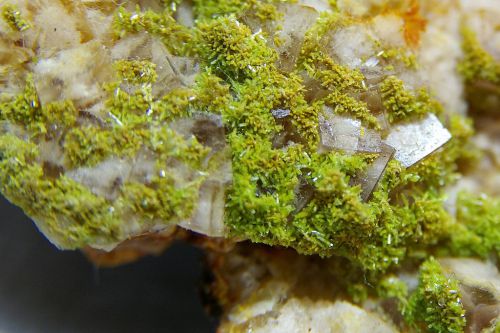 CH 24 - Pyromorphite sur Fluorite, Mine du Rossignol, Chaillac, Indre 210 mm  x 90 mm