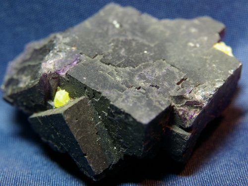 ME 09 - Soufre sur Fluorite, Muzquiz, Coahuila, Mexique  70 mm x 55 mm