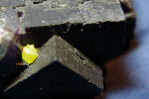 ME 09 - Soufre sur Fluorite, Muzquiz, Coahuila, Mexique  70 mm x 55 mm
