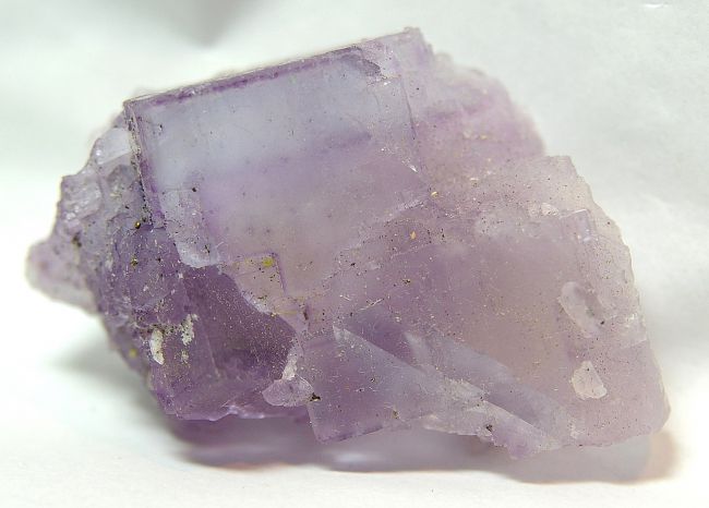 TU 15 _ Fluorite, Kohol, Zaghouan, Tunisie 65 mm x 40 mm