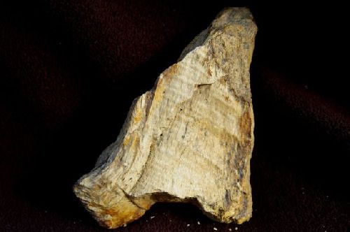 5 - Bois fossile (région Vendôme)  110 mm