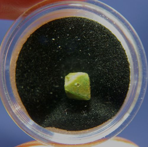 SA 01 - La Salvetat d'Agout, Hérault (pegmatite) arête de l'octaedre = 5 mm