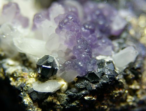 PE 05 - Fluorite bytroidale, Sphalérite, Quartz sur Pyrite, Mine Huanzala, Huanuco, Pérou